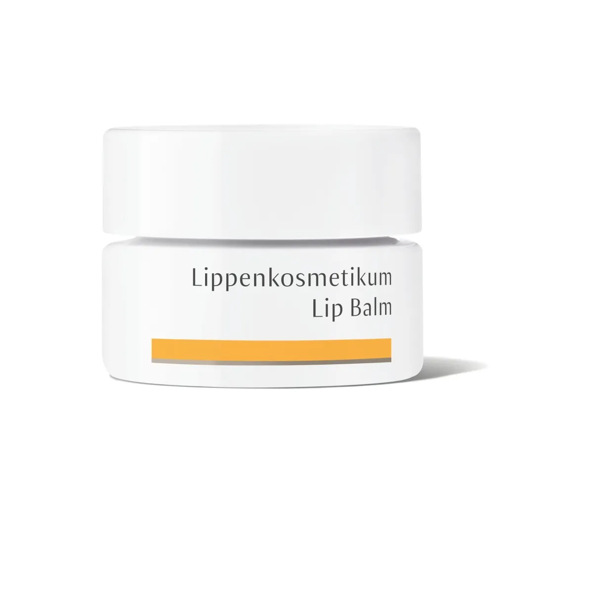 DR.HAUSCHKA TAASTAV HUULEPALSAM 4,5G