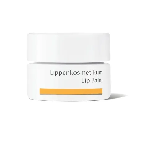 DR.HAUSCHKA TAASTAV HUULEPALSAM 4,5G